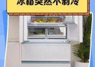 冰箱不制冷的原因及解决方法（气泡现象导致冰箱不制冷的主要原因及解决办法）