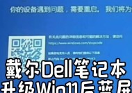 戴尔电脑开始键搜索方法是什么？搜索后如何操作？