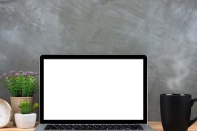 笔记本电脑出现空白屏的解决方法是什么？