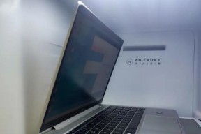 笔记本电脑响声问题及处理方法（诊断笔记本电脑响声问题的步骤及解决方案）