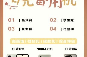 哪些手机适合做备用机且续航能力强？