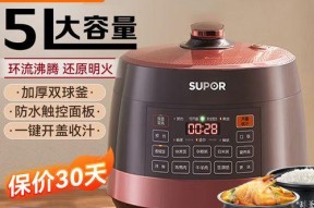 电压力锅锅盖漏气的解决方法（学会正确处理电压力锅锅盖漏气）