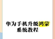 华为手机应用升级怎么设置？步骤详细吗？