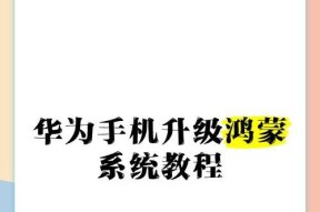 华为手机应用升级怎么设置？步骤详细吗？