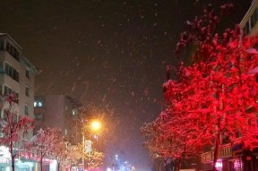 下雪夜晚拍照教程手机怎么拍？如何拍出美丽的夜景雪景？