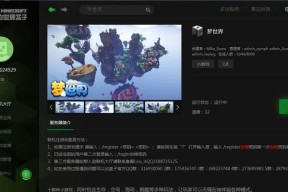 网易启动器怎么进入服务器？连接和配置的步骤是什么？