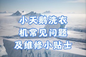 小天鹅洗衣机出现故障怎么办？常见问题的维修方法有哪些？