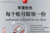 苹果十快速充电器怎么用？使用方法和注意事项是什么？