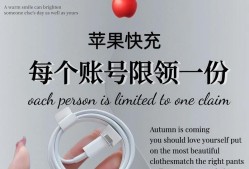 苹果十快速充电器怎么用？使用方法和注意事项是什么？