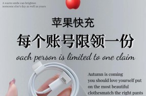 苹果十快速充电器怎么用？使用方法和注意事项是什么？