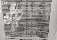 小天鹅洗衣机屏幕显示E21故障的解决方法（E21故障原因分析及维修指南）