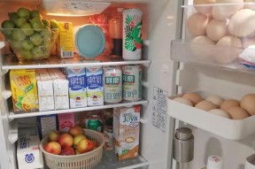 冰箱运行时的噪音问题及解决方法（探究冰箱运行时产生噪音的原因以及如何解决这一问题）
