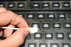 键盘里为什么有油渍？如何清理键盘内部的油渍？