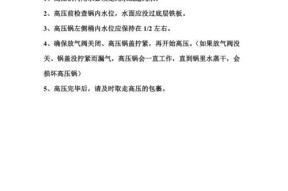 宾果自带充电器使用方法是什么？使用过程中需要注意什么？
