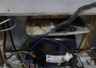 冰箱易坏的原因及预防措施（探究冰箱容易坏的因素及延长使用寿命的方法）