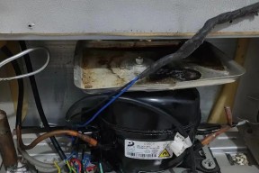 冰箱易坏的原因及预防措施（探究冰箱容易坏的因素及延长使用寿命的方法）