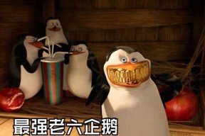 企鹅看电视机有什么特点？