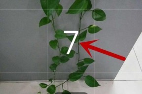 手机如何分格拍摄照片？