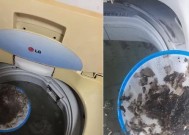 如何正确清洗洗衣机（简单易行的洗衣机清洁方法）