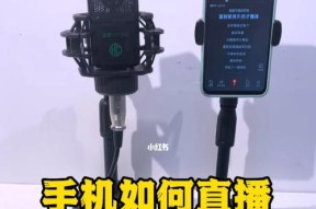 苹果手机上看直播打榜记录的方法是什么？如何互动？