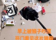宿舍掉充电器怎么处理？有哪些应急措施？