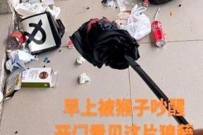 宿舍掉充电器怎么处理？有哪些应急措施？