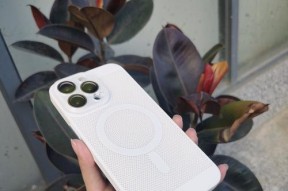 苹果15p手机外壳使用的软件名称是什么？