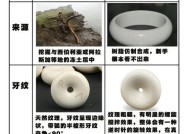 猛犸手机拍摄支架使用方法是什么？如何安装？
