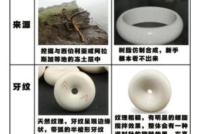 猛犸手机拍摄支架使用方法是什么？如何安装？