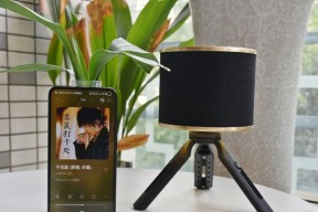桌面音箱调音技巧有哪些？如何设置最佳音效？