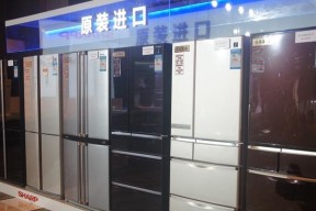 夏普冰箱E0故障代码解析（E0代码代表的故障及解决方法）