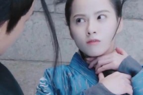 王妃使用的手机软件有哪些特点？