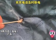 充电器拔不了怎么回事？如何快速解决？