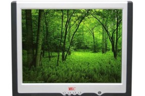 液晶显示器出现叠层怎么办（解决液晶显示器叠层问题的实用方法）