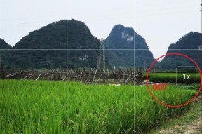 明亮模式相机怎么用手机拍照？使用技巧有哪些？