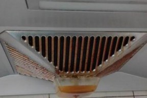 离心油烟机扇叶清洗方法（轻松学会清洗离心油烟机扇叶）