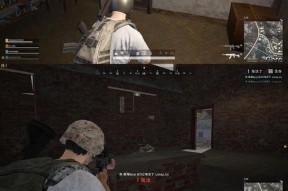 显卡人物模糊调整方法是什么？
