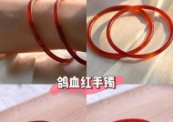 鸽子如何正确套上手环？套手环时应注意哪些问题？