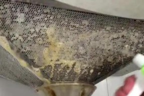 如何处理油烟机油污太多的问题（简单易行的清洁方法）