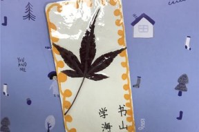 如何在苹果手机桌面设置书签？设置书签的好处是什么？