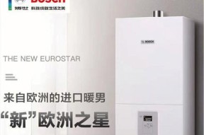 解决博世冷凝壁挂炉故障的有效方法（博世冷凝壁挂炉故障处理指南）