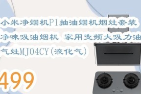 如何清洗佐贺抽油烟机（简单易行的清洁方法）