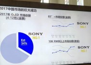 索尼电视系统死机的解决方法是什么？如何预防死机？