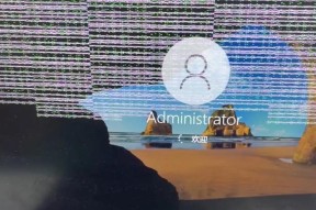 戴尔电脑开机黑屏的解决方法是什么？