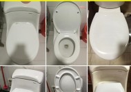 如何解决法恩莎马桶盖螺丝断了的问题（马桶盖更换步骤详解）