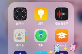如何设置iPhone图标大小（教你简单快捷地调整iPhone图标大小）