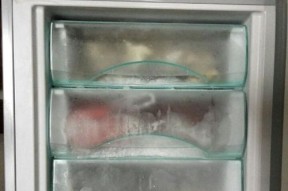 冰箱制冷管的原理及应用（探秘冰箱制冷管的工作原理与应用领域）