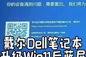 解决戴尔笔记本蓝屏问题的方法（掌握这些技巧）