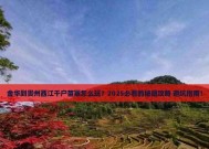 地铁模拟器继续行程怎么用？操作指南是什么？