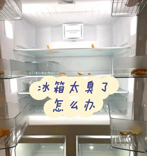 解决冰箱不平放的问题（保证冷藏食品安全的关键）  第3张